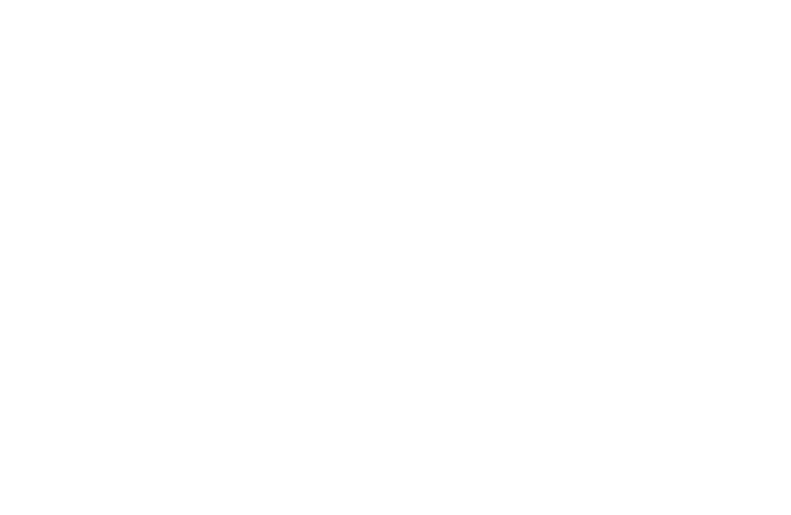 IQ Integrity AML